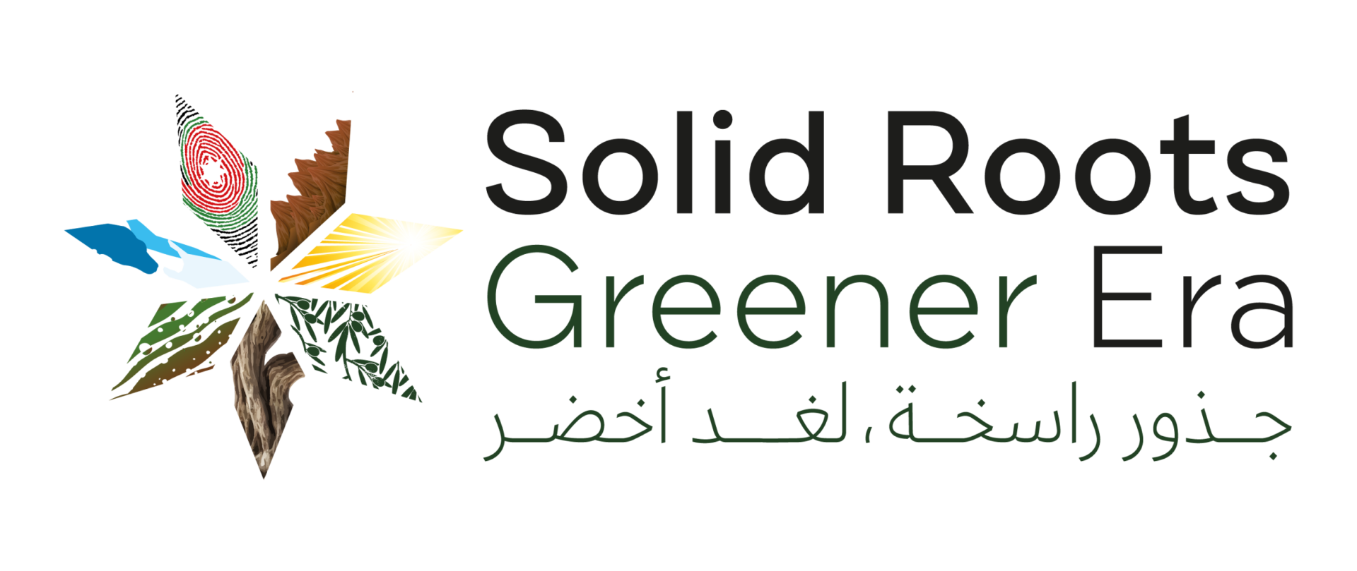 شعار Solid Roots